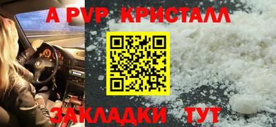 стаф Донской