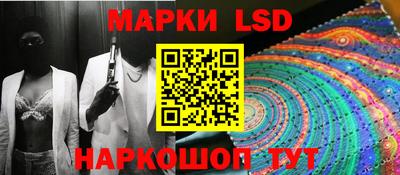 стаф Донской