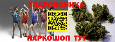 стаф Донской