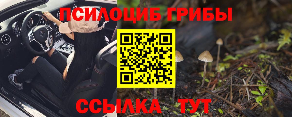 Псилоцибиновые грибы Psilocybine cubensis  Вход с VPN  Кудымкар 